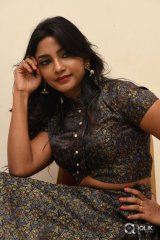 Kamna Singh At Thikka Movie Audio Launch